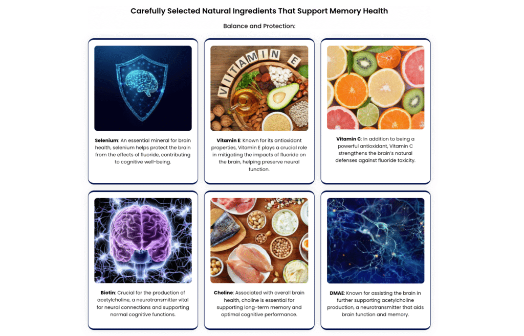 Memory Lift Supplement ingredients illustration – Bacopa Monnieri, Ginkgo Biloba, Lion’s Mane, Rhodiola Rosea, and L-Theanine