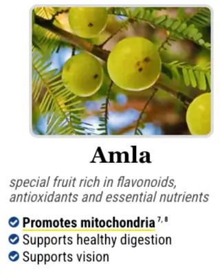 Nutrient-rich fruit in the Mitolyn formula that supports mitochondria, digestion, and vision.