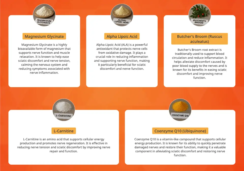 Arialief Key Ingredients – Magnesium Glycinate, Alpha Lipoic Acid, Butcher’s Broom, L-Carnitine, And Coenzyme Q10