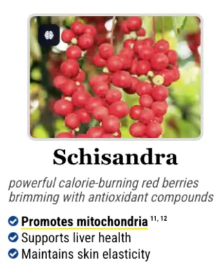 Antioxidant-rich red berries in the Mitolyn formula that support mitochondria, liver health, and skin elasticity.
